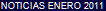 NOTICIAS ENERO 2011