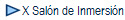 X Sal�n de Inmersi�n